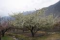 10 Appelboomgaard